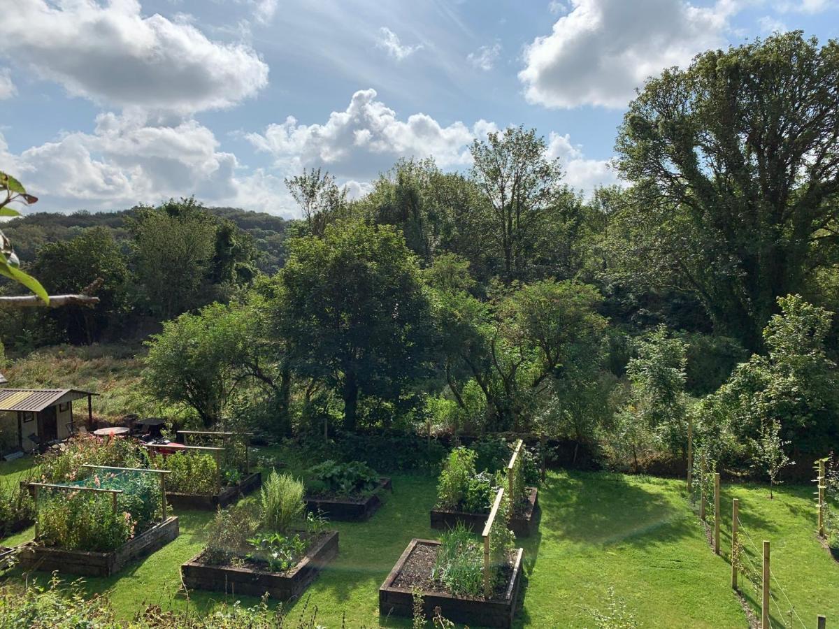 Riverbank House Bed And Breakfast Innishannon Exteriör bild