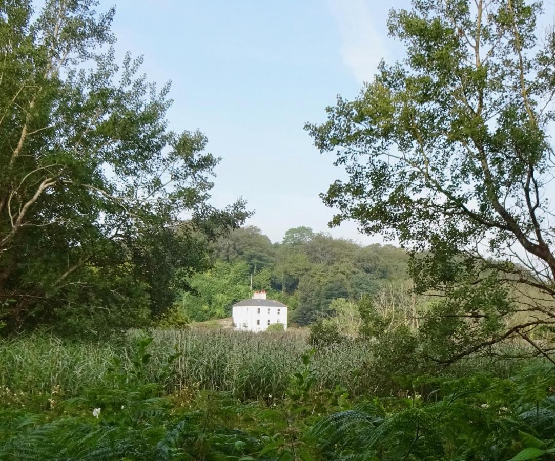 Riverbank House Bed And Breakfast Innishannon Exteriör bild