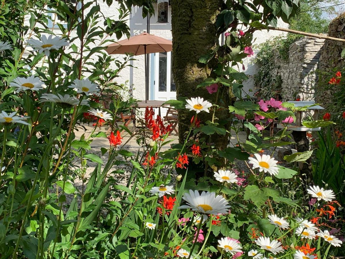 Riverbank House Bed And Breakfast Innishannon Exteriör bild