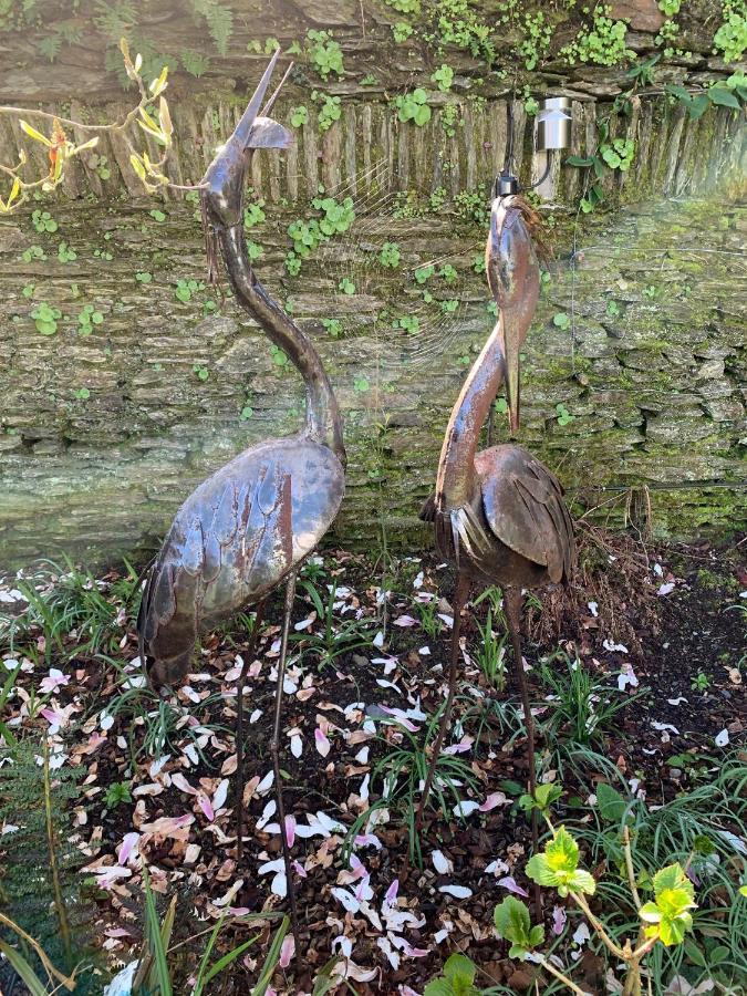 Riverbank House Bed And Breakfast Innishannon Exteriör bild